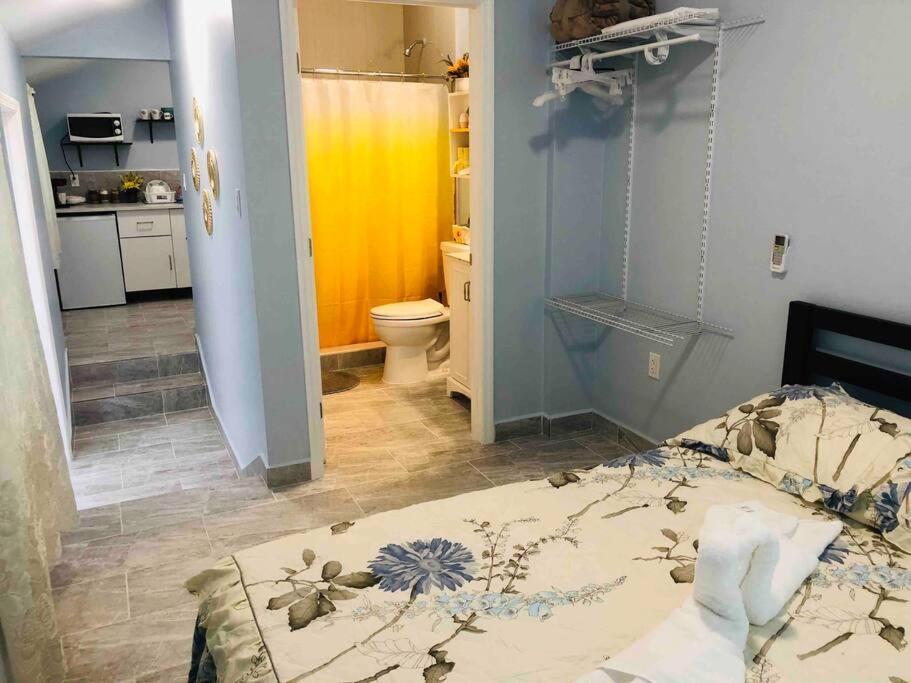 New Luxurious Studio Private In The Heart Of Miami Extérieur photo