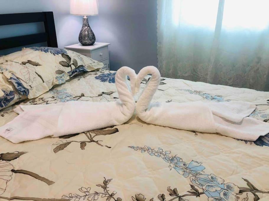 New Luxurious Studio Private In The Heart Of Miami Extérieur photo
