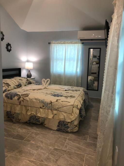 New Luxurious Studio Private In The Heart Of Miami Extérieur photo