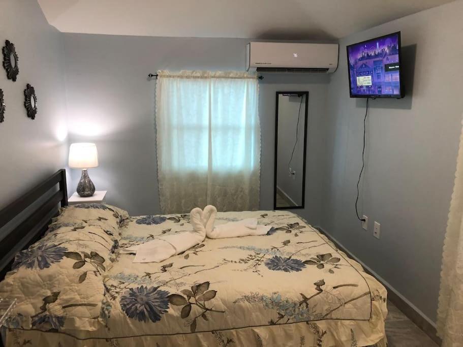 New Luxurious Studio Private In The Heart Of Miami Extérieur photo